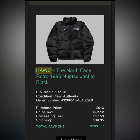 KAWS North Face Coat - Picture 4 of 10